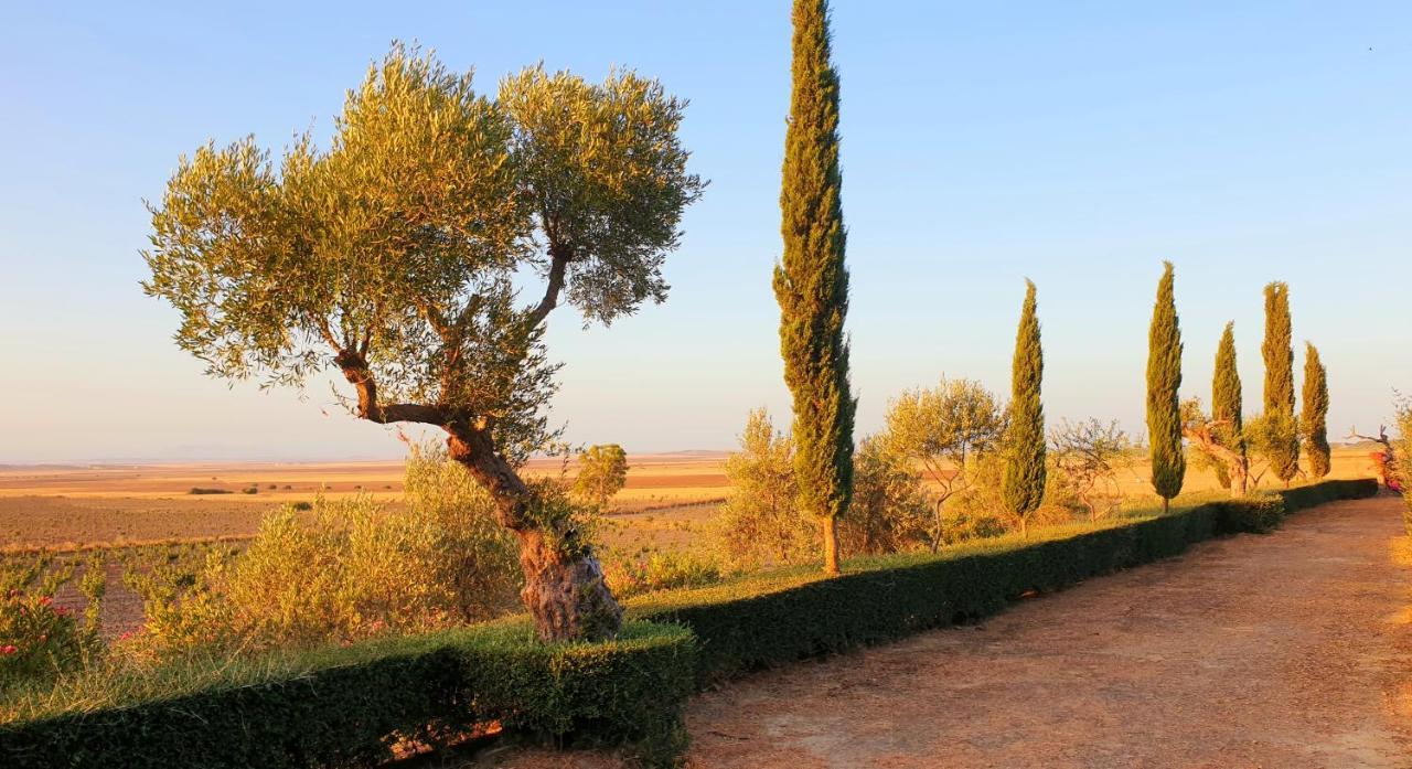 Cortijo El Triguero N-398 Ctra Carmona - El Viso Del Alcor Km 18 Βίλα Εξωτερικό φωτογραφία
