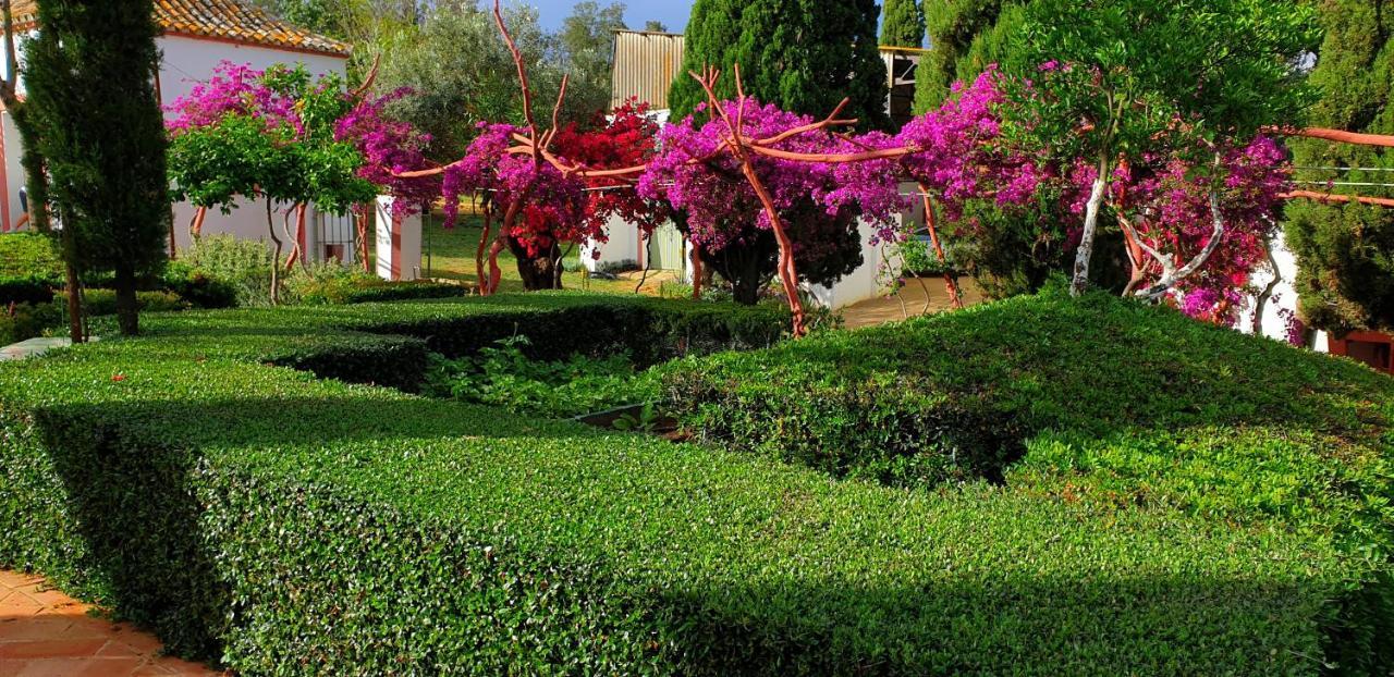 Cortijo El Triguero N-398 Ctra Carmona - El Viso Del Alcor Km 18 Βίλα Εξωτερικό φωτογραφία