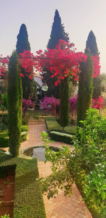 Cortijo El Triguero N-398 Ctra Carmona - El Viso Del Alcor Km 18 Βίλα Εξωτερικό φωτογραφία